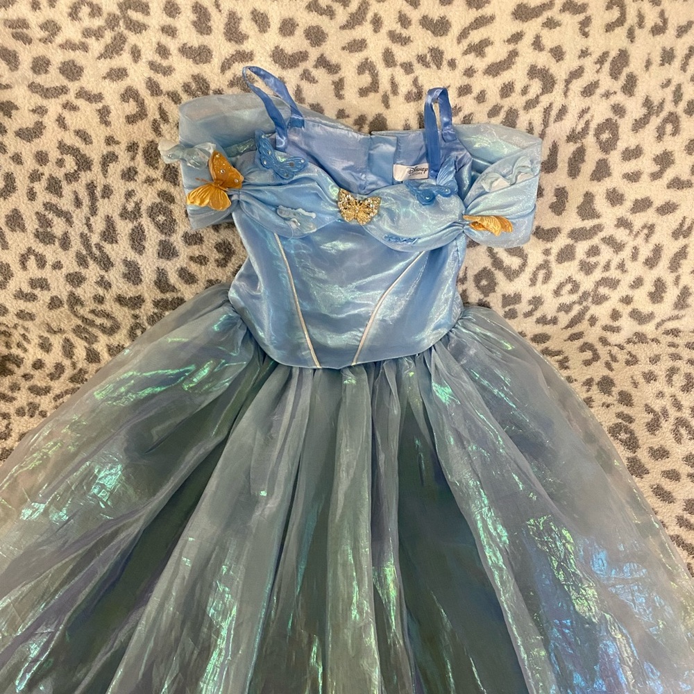 Disney Cinderella Costume
